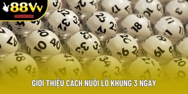 Giới thiệu cách nuôi lô khung 3 ngày