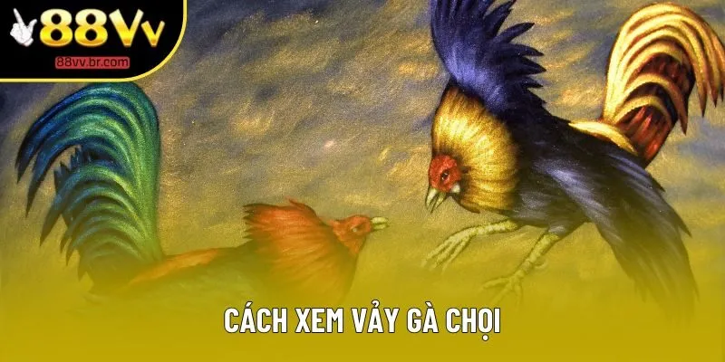 Cách Xem Vảy Gà Chọi - Bí Quyết Chọn Chiến Kê Cùng 88VV