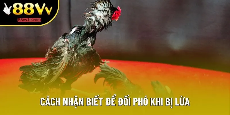 Cách nhận biết để đối phó khi bị lừa